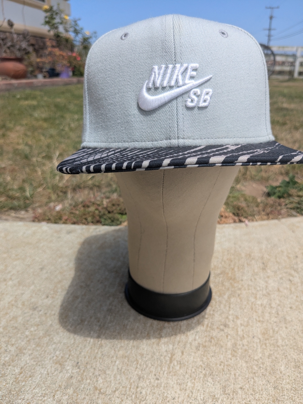 Nike SB Hat